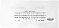 Arthuriomyces peckianus image